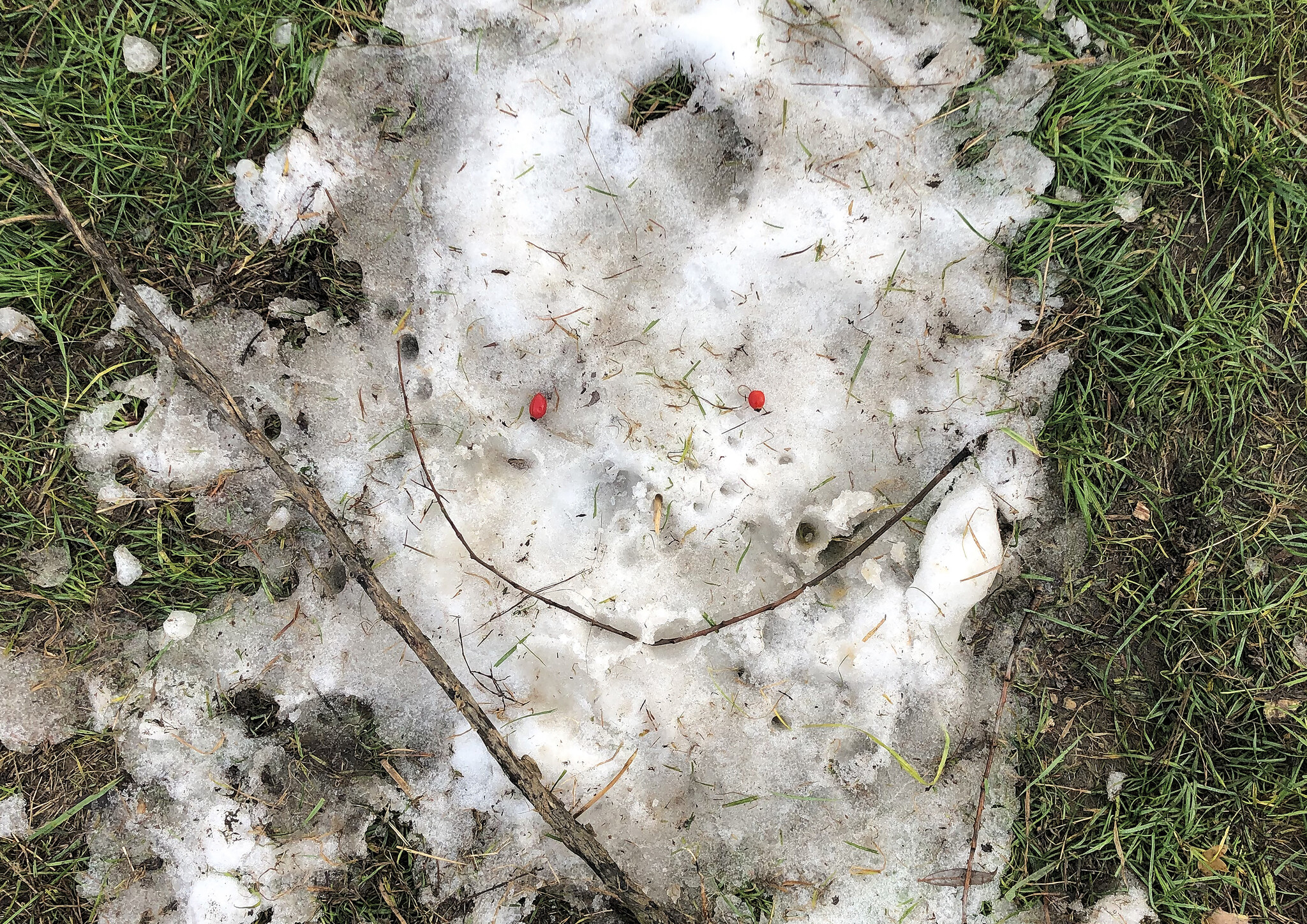 unlearning nature unlearning nature